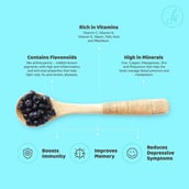 5 - Flyberry Goumet Bold Blueberries (apple juice infused),  100 g  Unflavoured 