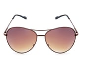 Fidato Sunglass XH 1721 Brown, Aviator,  Brown 