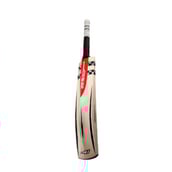 Gray Nicolls Oblivion E41 Destroyer Bat,  Harrow  English Willow 