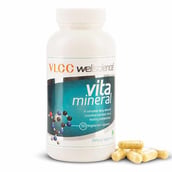 1 - VLCC Wellscience Vitamineral, 90 veggie capsule(s) Unflavoured