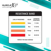3 - MuscleXP Resistance Heavy Duty Stretch Loop Band, Blue 12-35 kg