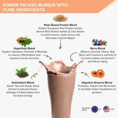 5 - Wellbeing Nutrition Superfood Plant Protein, 1.1 lb Dark Chocolate Hazelnut