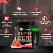 2 - Fitspire Super Gold BCAA, 0.55 lb 25 Servings Watermelon with Protein Shaker