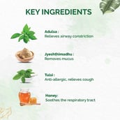 5 - Dr. Vaidya's Tulsi-Ginger Cough Syrup (Pack of 4), 100 ml