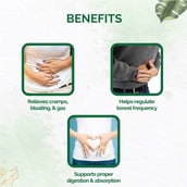 4 - Dr. Vaidya's IBS Relief (Pack of 2), 30 tablet(s)