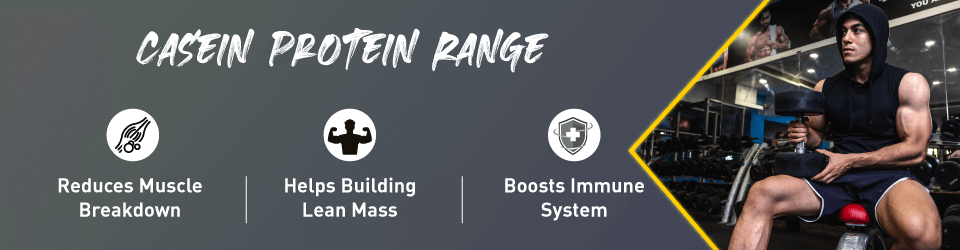 Casein Proteins
